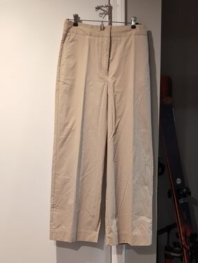 Beige Wide-Leg Dress Pants